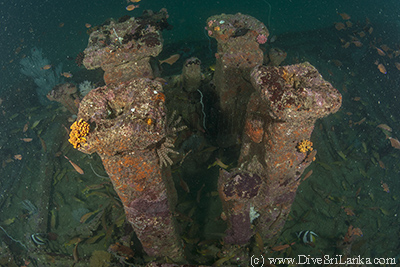 Engine of the Toilet Barge